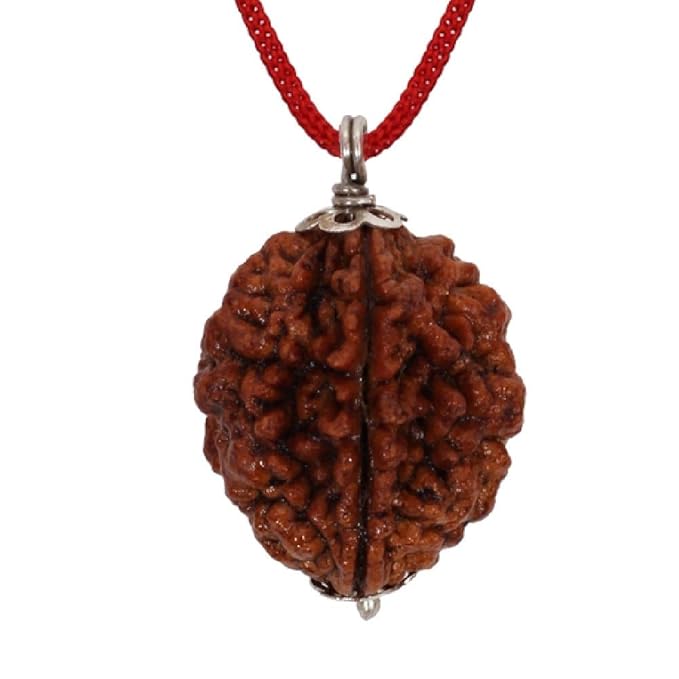 Vedic Vaani Protection Combo - 2 Mukhi Rudraksha & Kuber Yantra