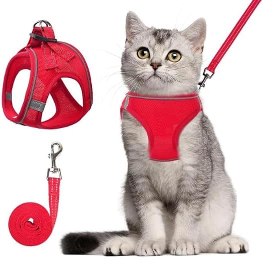 Generic Cat Harness With Leash – Walk Safely