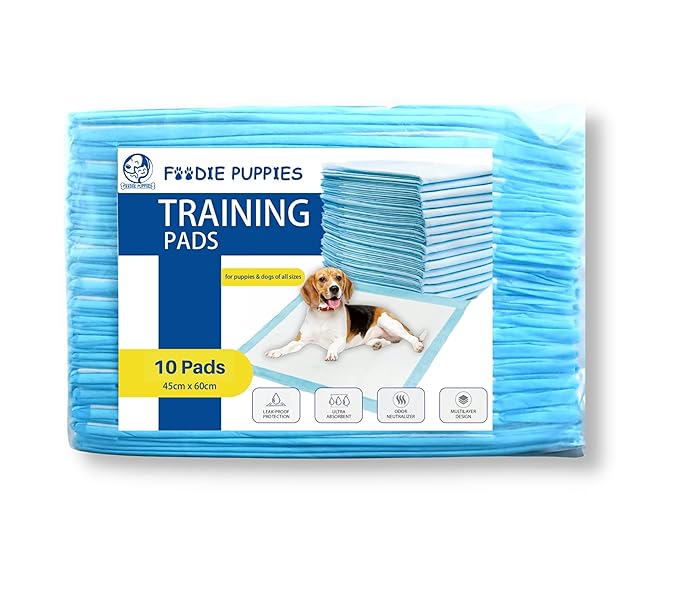 Generic Absorbent Training Pads – Clean Simply