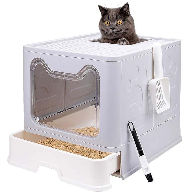 Generic Enclosed Cat Litter Box – Hide Neatly