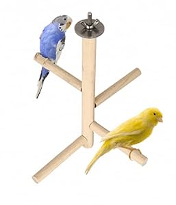 Generic Natural Wood Bird Perch – Perch Naturally