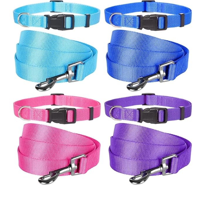 Pedigree Adjustable Nylon Dog Collar – Fit Perfectly
