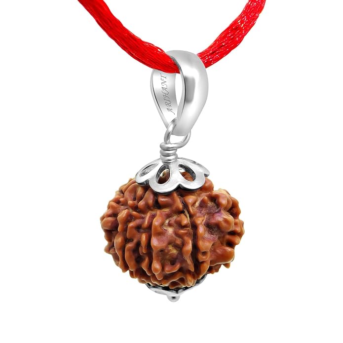 Rudraksha Ratna 7 Mukhi Rudraksha - Certified Nepal Origin