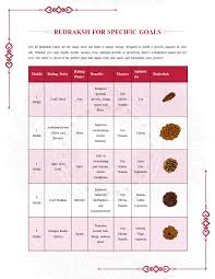 Rudraksha Ratna Detailed Birth Chart Report - 40 Pages