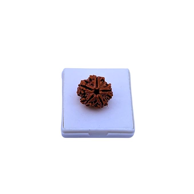 Rudraksha Ratna Gemstone Certification & Recommendation Kit