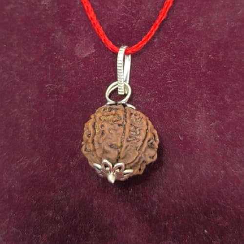 Rudraksha Ratna Wealth Power Combo - Rudraksha & Yantra